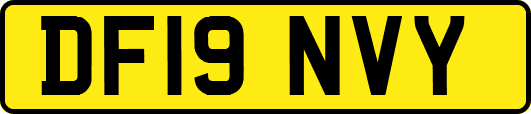 DF19NVY