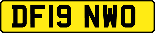 DF19NWO