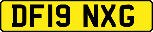 DF19NXG