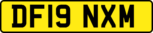 DF19NXM