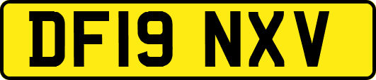 DF19NXV