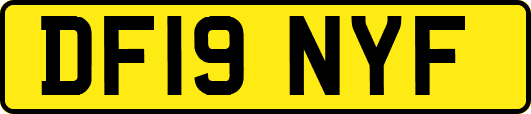 DF19NYF