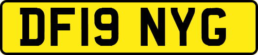 DF19NYG
