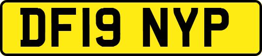 DF19NYP