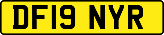DF19NYR