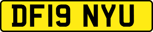 DF19NYU