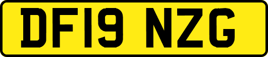 DF19NZG