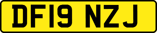 DF19NZJ