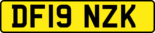 DF19NZK