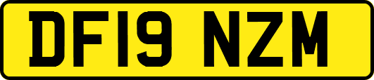 DF19NZM