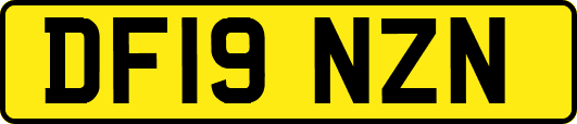 DF19NZN