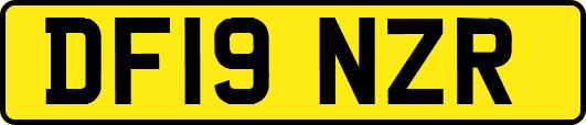 DF19NZR