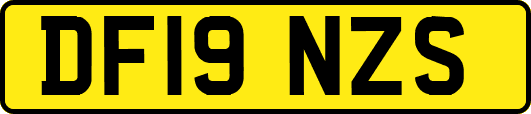 DF19NZS