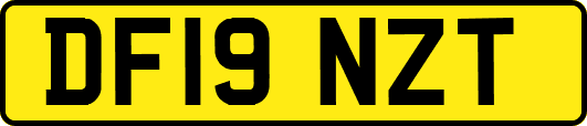 DF19NZT