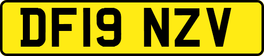 DF19NZV