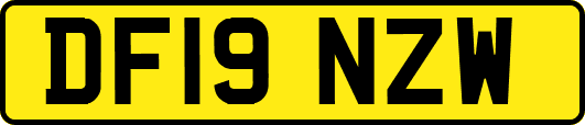 DF19NZW