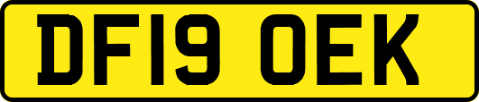 DF19OEK