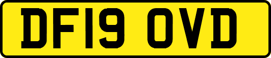 DF19OVD