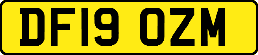 DF19OZM