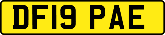 DF19PAE