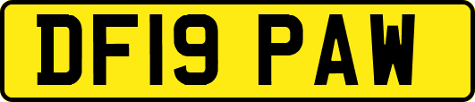 DF19PAW