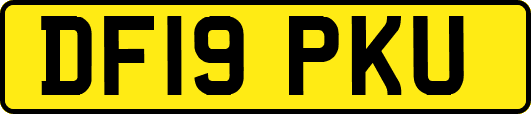 DF19PKU