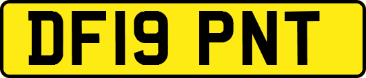 DF19PNT