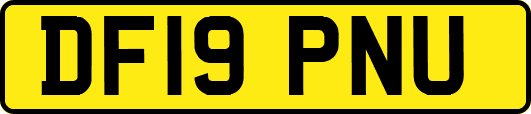 DF19PNU