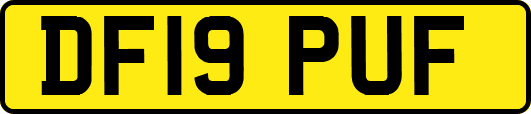 DF19PUF