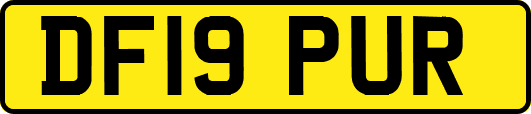 DF19PUR