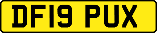 DF19PUX