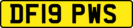 DF19PWS