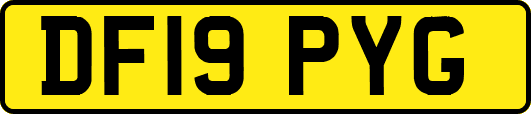DF19PYG