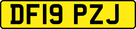 DF19PZJ