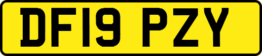 DF19PZY