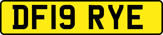 DF19RYE