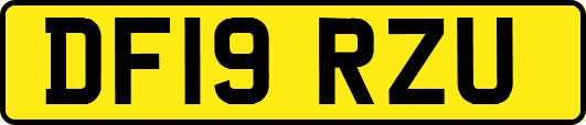 DF19RZU