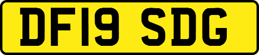 DF19SDG