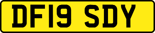 DF19SDY