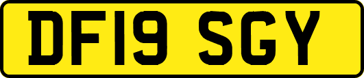 DF19SGY