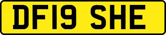 DF19SHE