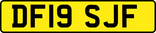 DF19SJF