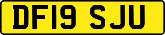 DF19SJU