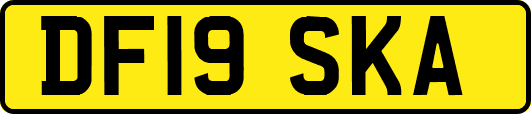 DF19SKA