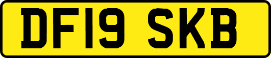 DF19SKB