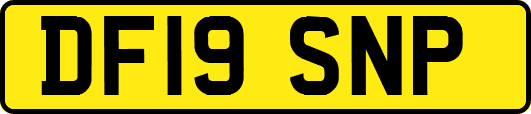 DF19SNP