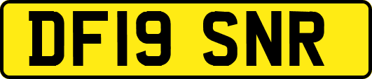 DF19SNR