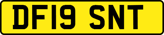 DF19SNT