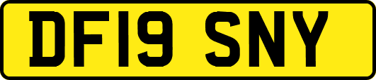 DF19SNY