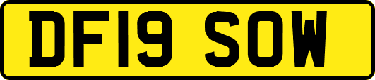 DF19SOW
